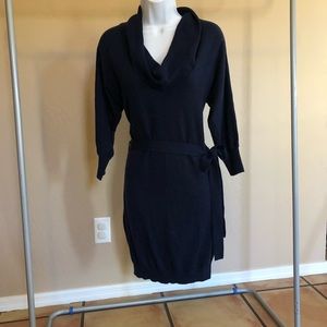 Express sweater dress